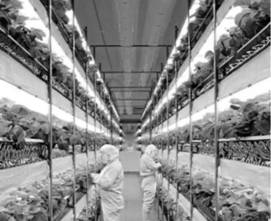 高考地理試卷硬件的匠心設計 以2016年合肥一中一模文綜地理為例